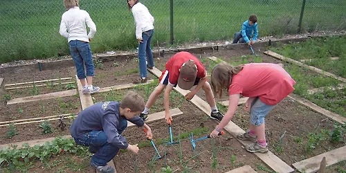 School Dividends: Growing Gardens
