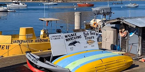 Spooky Season: Morro Bay Harbor Ghost Secrets