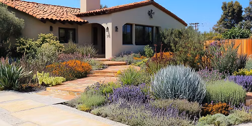 Plant Talk: Sustainable Landscaping