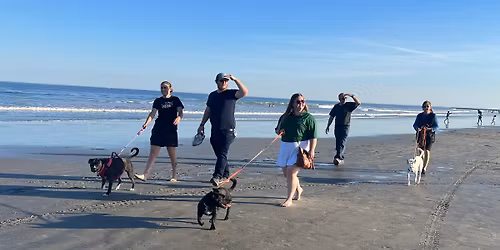 Hampton Beach Dog Party | State Park-South Beach | Community Walking Club | Sunday, April 26th