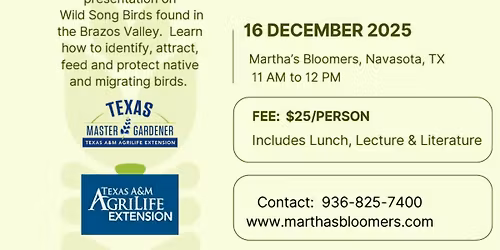 Attracting Wildbirds