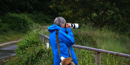 Wild wetlands photography meetup
