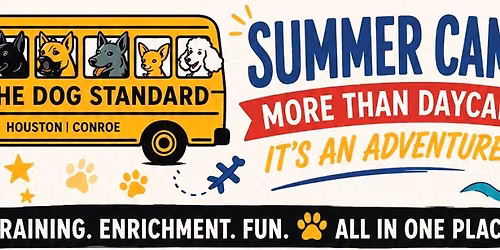Week 4 Dog Summer Camp: Surf's Up, Pups! \ud83c\udfc4