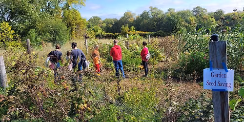Fall on the Farm