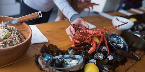 Fiordland Foodie Adventure - November 2026