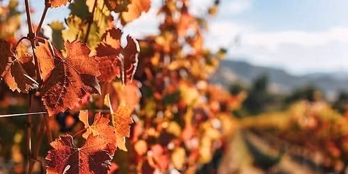 Autumn Wine Tour