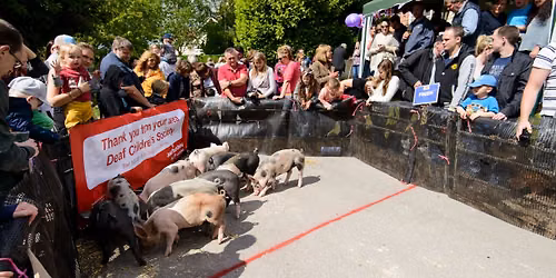 International Pig Racing