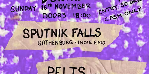 Indie Goes ANARCHY vol. 2 \/ Sputnik Falls \/ Pelts \/ Undskyld