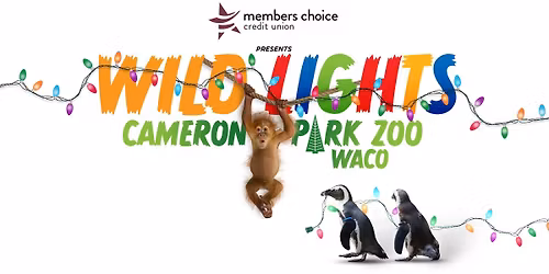 Wild Lights