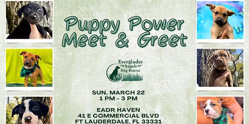 Puppy Power Meet & Greet