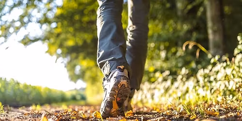Autour du bois de L\u00e9caude.