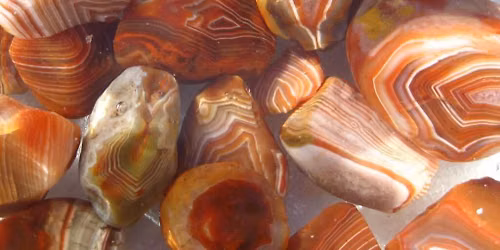 Nature Discovery Table: Rock Stars