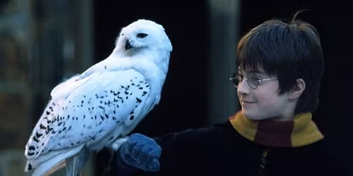 Harry Potter and the Sorcerer's Stone\u2122 in Concert