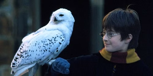 Harry Potter and the Sorcerer's Stone\u2122 in Concert