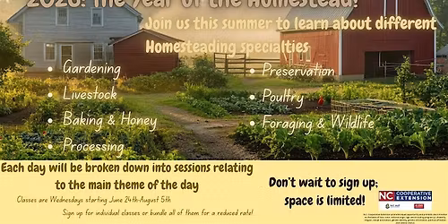 Homesteading Summer Series
