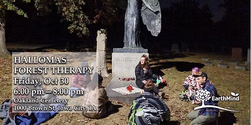 Hallowmas Forest Therapy