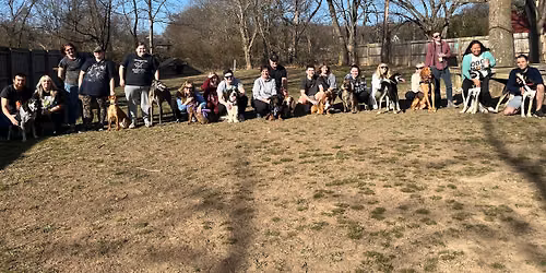 Calling all HOUND DOGS!!!!!! HOUND PAW-TY!! 