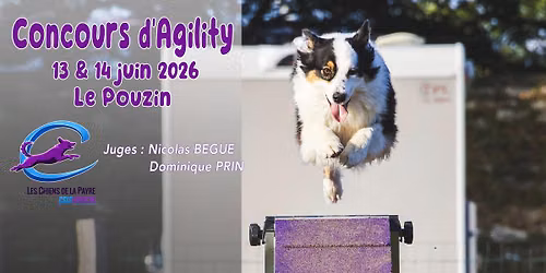 Concours simple d'agility - Le Pouzin (07)