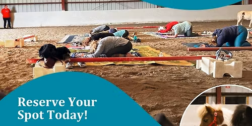 Yoga with Mini Horses