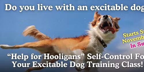 Help for Hooligans! Self-Control For your Excitable Dog Training Class