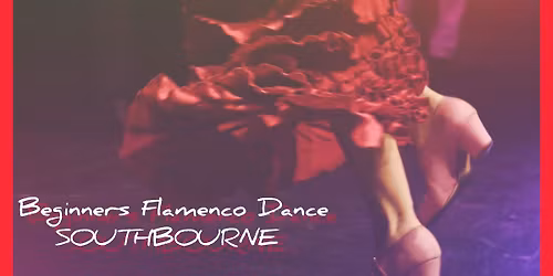 Flamenco Dance Classes