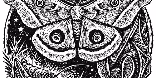 BioBlitz! Secrets of the Night
