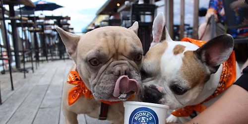 Yappy Hour