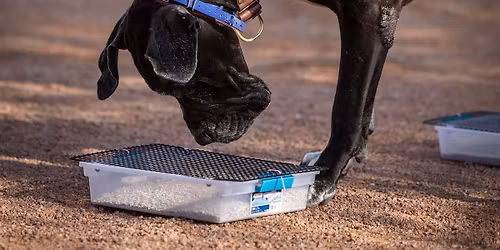 \ud83d\udce6\ud83d\udce6100 Box Challenge\ud83d\udce6\ud83d\udce6