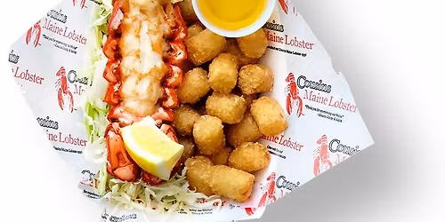 Avalon Aglow in Orlando