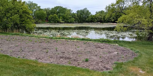 Spring Weeding at Epiphany Pond Park