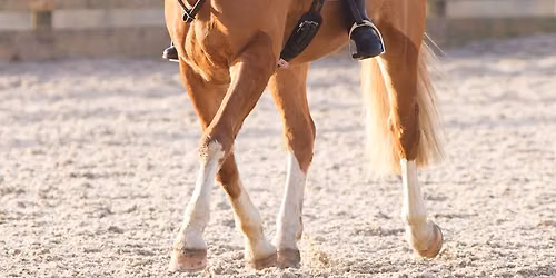 NWSC June Dressage