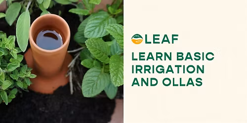 Learn Basic Irrigation and Ollas