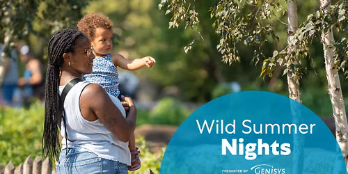 Wild Summer Nights
