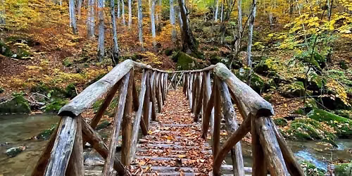 18\/10 \u03a6\u0398\u0399\u039d\u039f\u03a0\u03a9\u03a1\u0399\u039d\u039f \u03a0\u0391\u0399\u039a\u039f