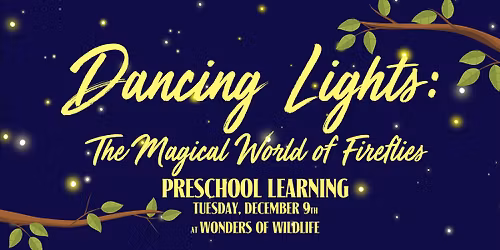 Preschool Learning Classes at Wonders of Wildlife