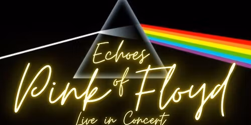ECHOES OF PINK FLOYD - Live at The Grand Social Dublin