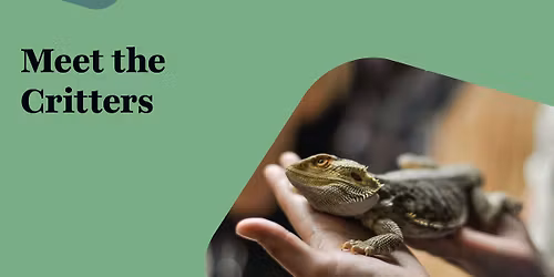 Meet the Critters