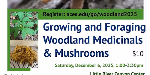 Growing & Foraging Woodland Medicinals & Mushrooms