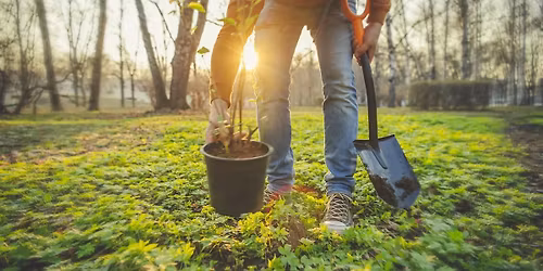 Residential Tree Giveaway