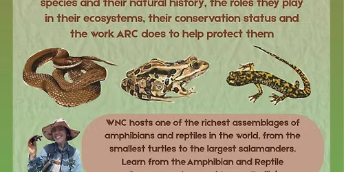 Natural History of the S. Apps: Herpetofauna