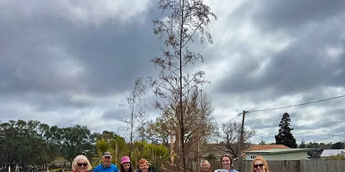 Friday Planting Day - Narrow Neck!