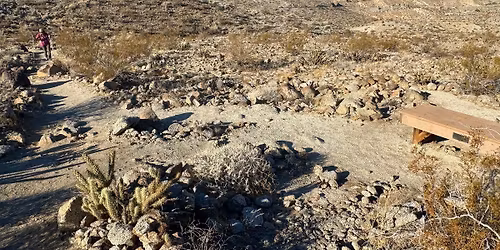 Geology of the Coachella Valley: Randall Henderson Interpretative Hike