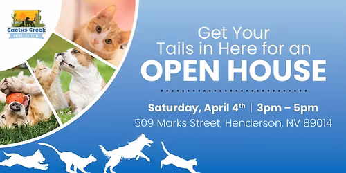 Open House at Cactus Creek Animal Hospital!