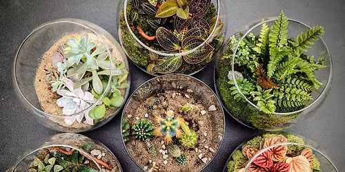 Final Terrarium Party of the Season!