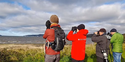 Birding for Brents