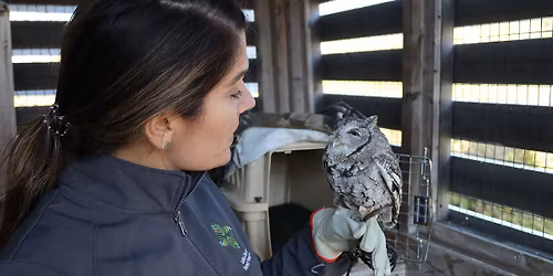 Animal Ambassador Meet & Greet