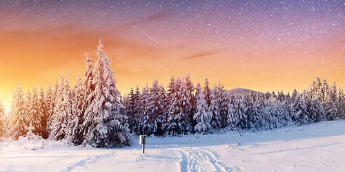 Drammens teater: Reisen til Julestjernen