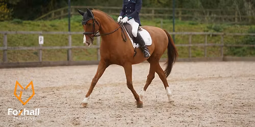 BD & Unaffiliated Dressage at Suffolk Rural College