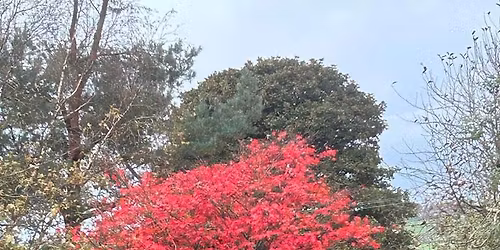 Celebrate our first year with Sax & Axe