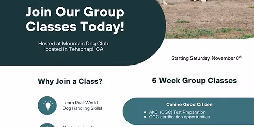 GROUP CLASSES